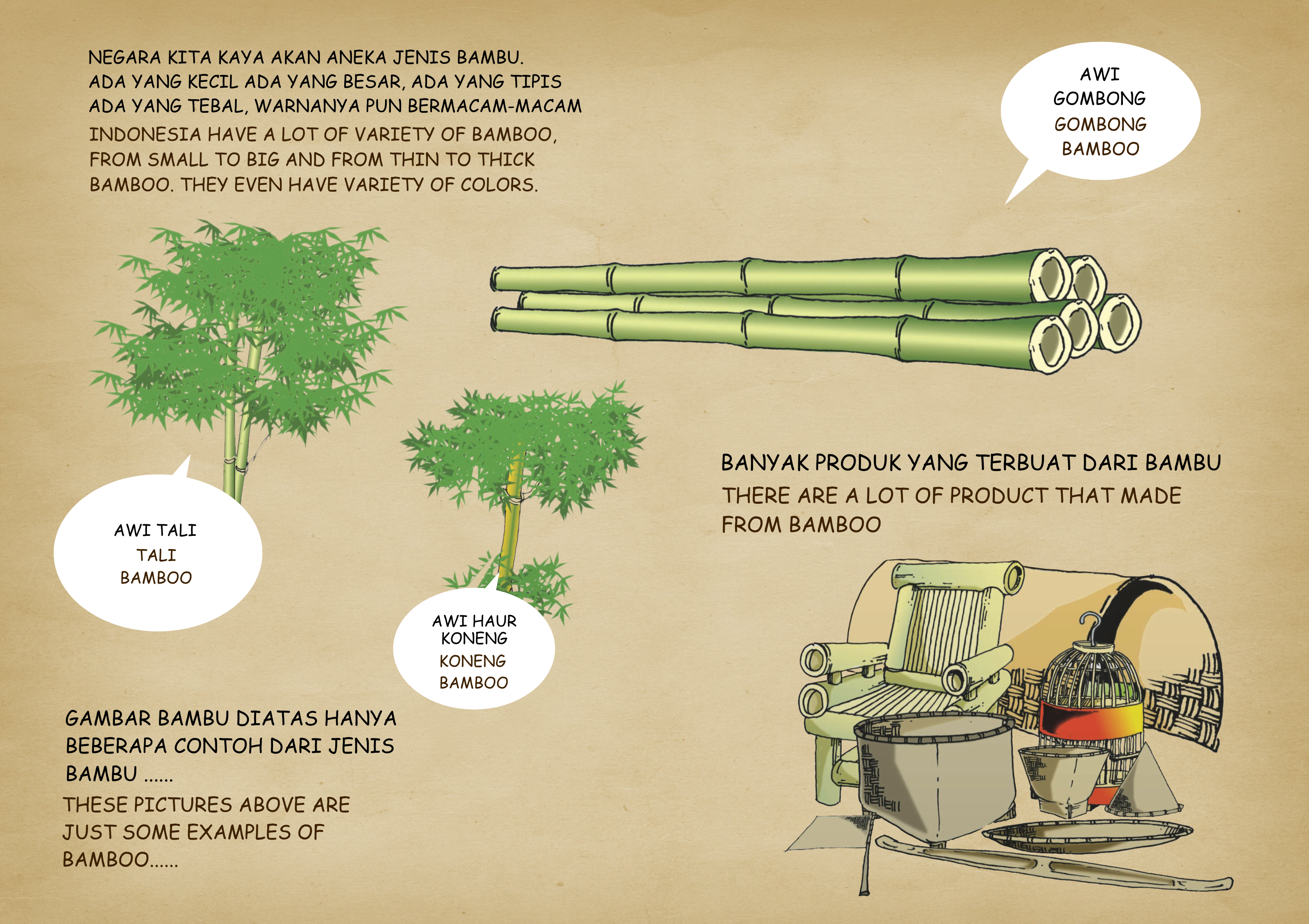 Pemilihan Bambu